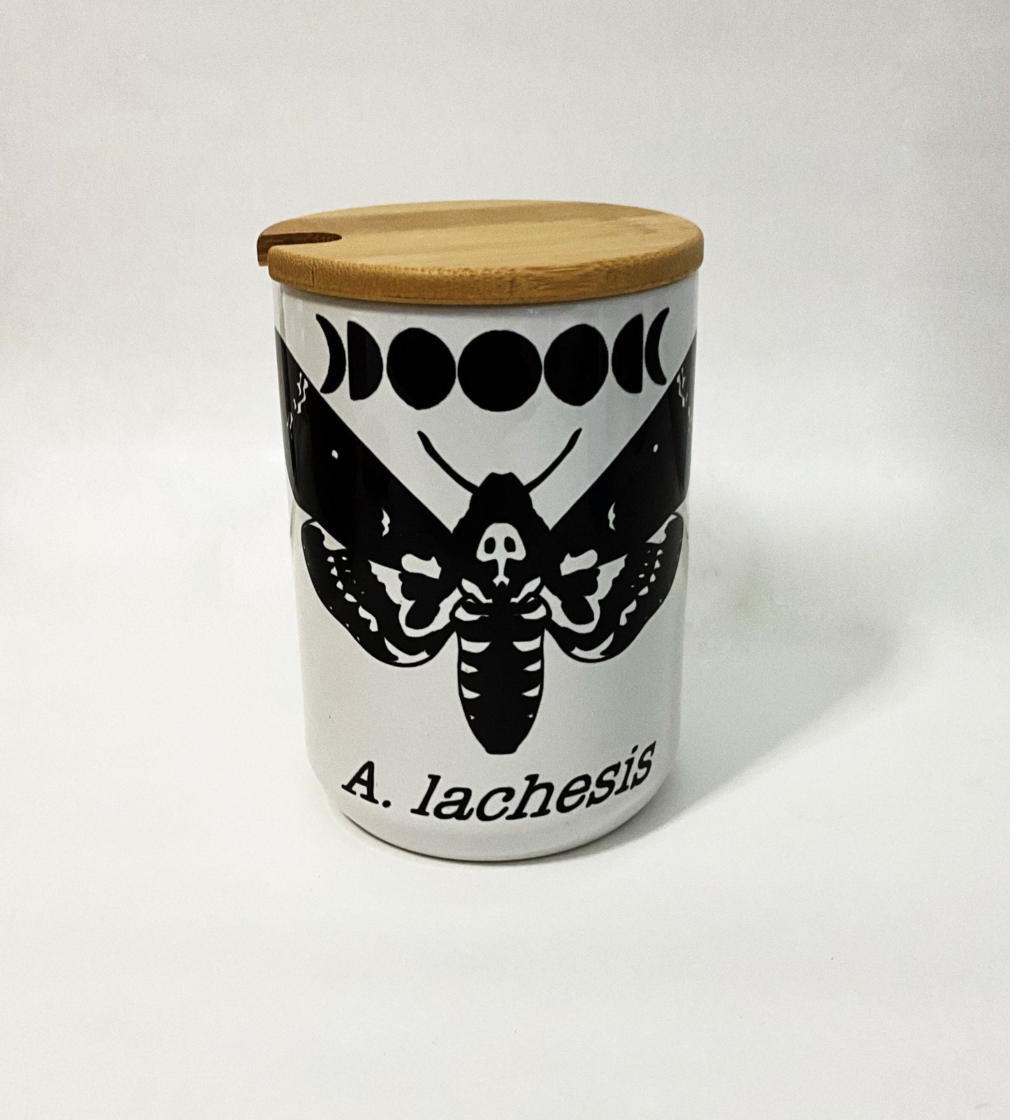 Death’s Head Moth Mug